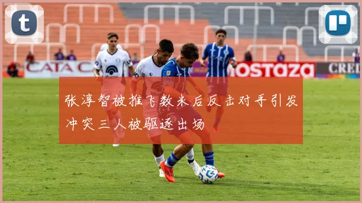 张淳智被推飞数米后反击对手引发冲突三人被驱逐出场