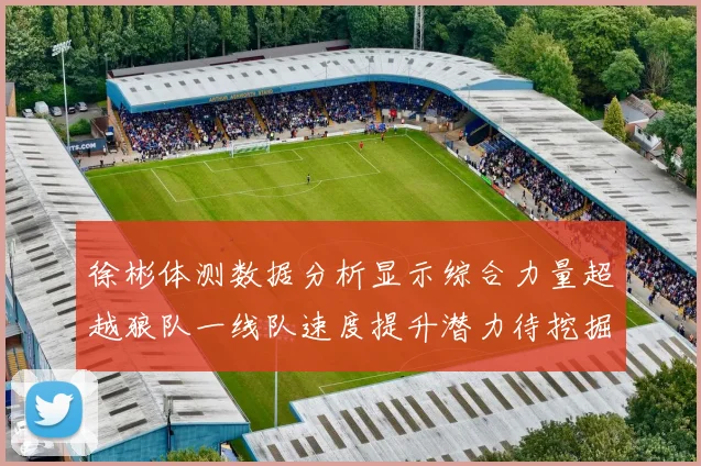 徐彬体测数据分析显示综合力量超越狼队一线队速度提升潜力待挖掘
