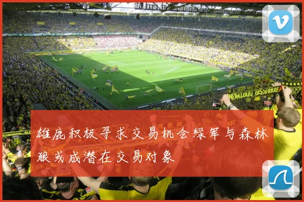 雄鹿积极寻求交易机会绿军与森林狼或成潜在交易对象