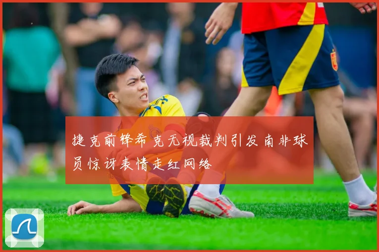 捷克前锋希克无视裁判引发南非球员惊讶表情走红网络