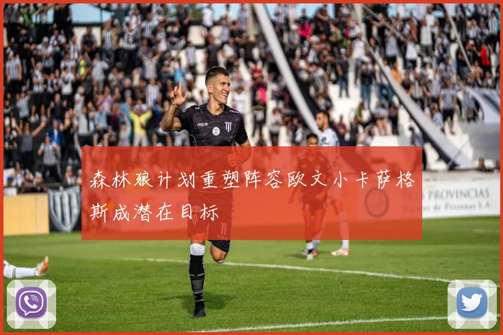 森林狼计划重塑阵容欧文小卡萨格斯成潜在目标